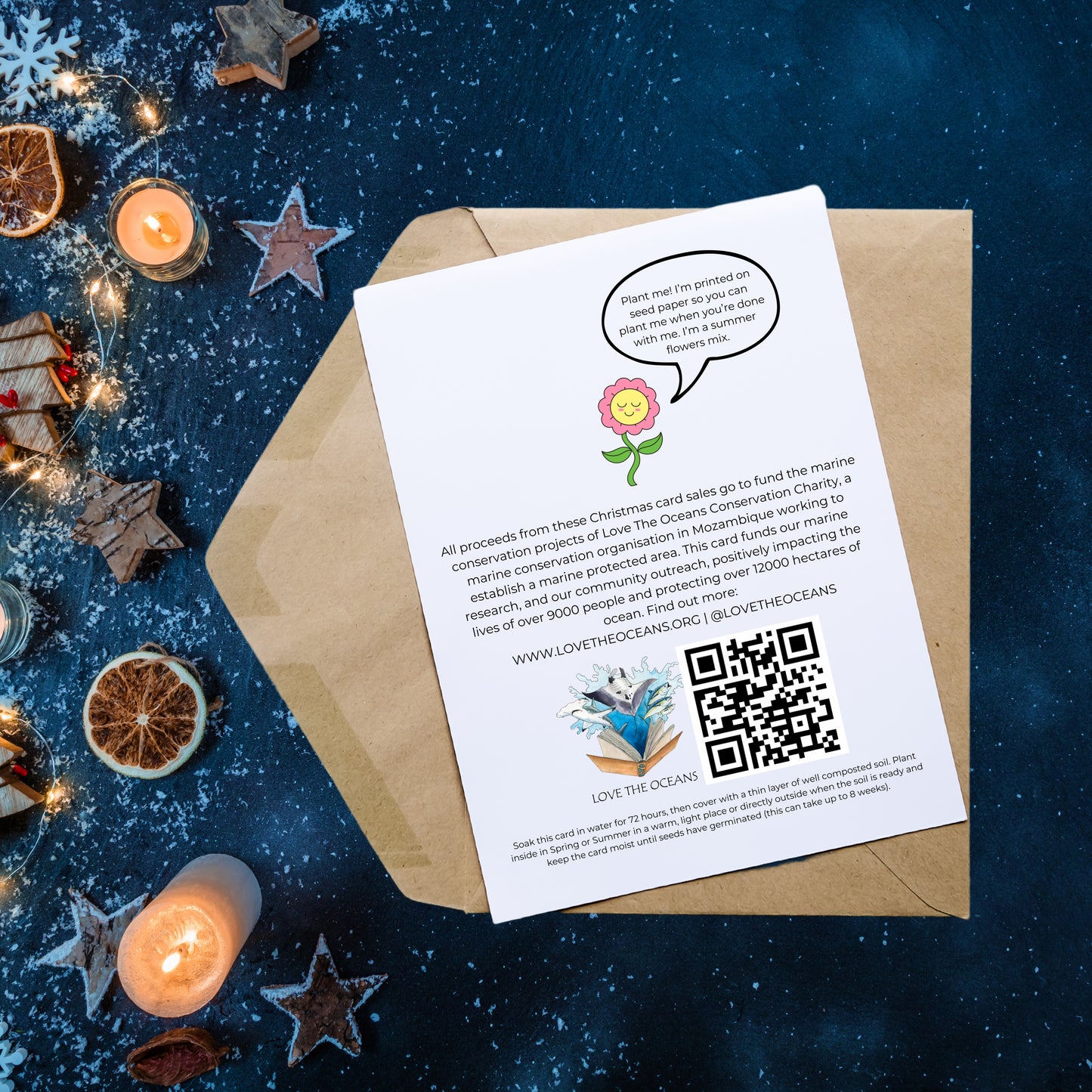 A6 Whale Shark Christmas Card, Pack of 10