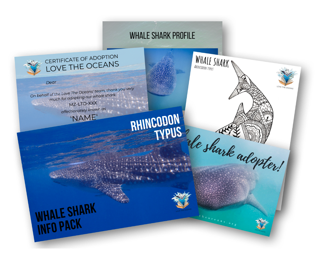 Adopt a Whale Shark