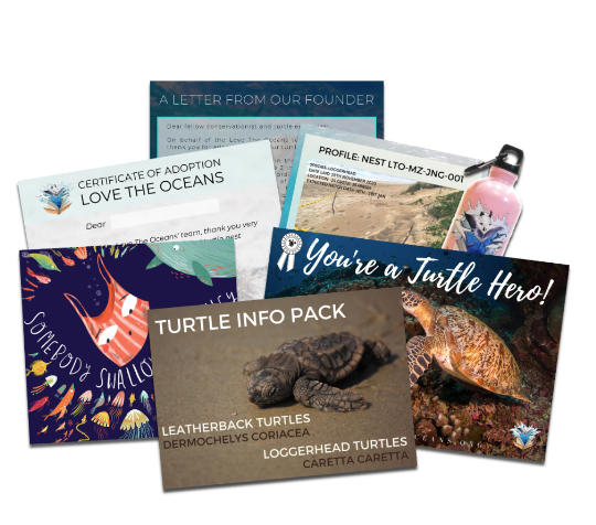 Adopt a Turtle Nest