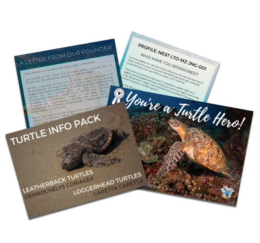 Sponsor a Turtle Guard